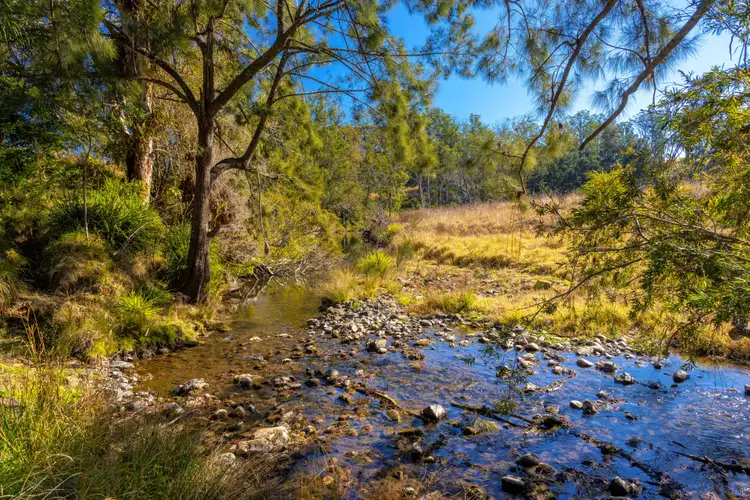 Third view of Homely rural property listing, 421 Bakers Creek Road, Gloucester NSW 2422