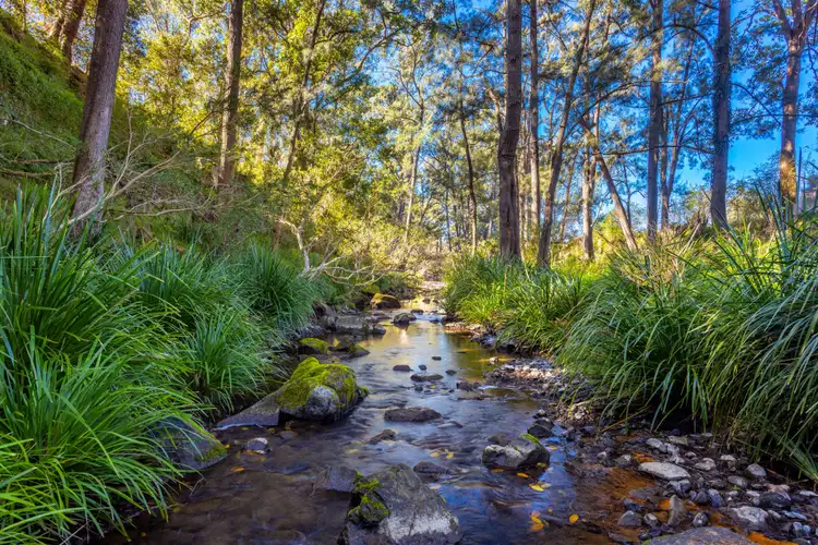 Fifth view of Homely rural property listing, 421 Bakers Creek Road, Gloucester NSW 2422