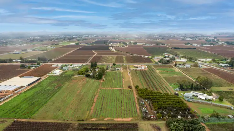 Fifth view of Homely land listing, 551 Irymple Avenue, Irymple VIC 3498
