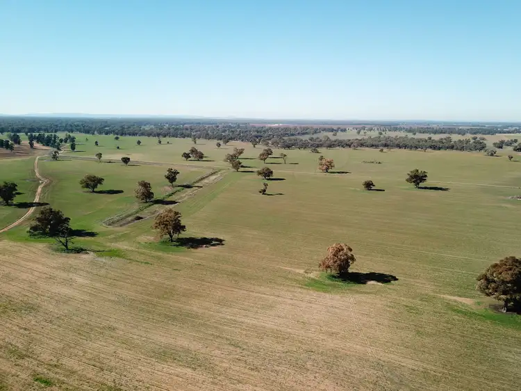 1280 Euroley Road, Euroley NSW 2700
