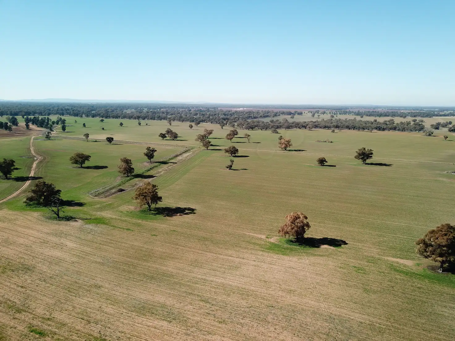 Main view of Homely rural property listing, 1280 Euroley Road, Euroley NSW 2700