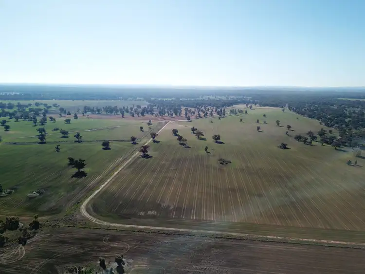 Third view of Homely rural property listing, 1280 Euroley Road, Euroley NSW 2700