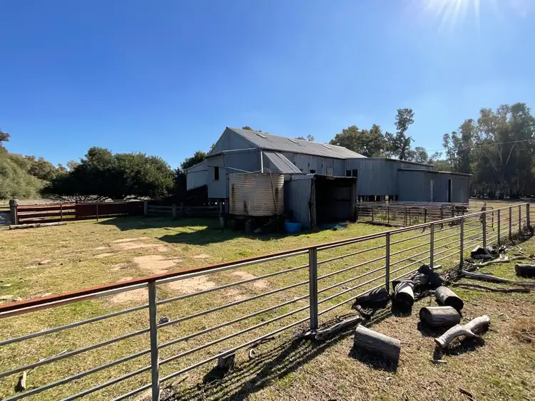 Sixth view of Homely rural property listing, 1280 Euroley Road, Euroley NSW 2700