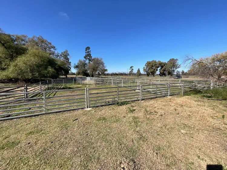 Seventh view of Homely rural property listing, 1280 Euroley Road, Euroley NSW 2700