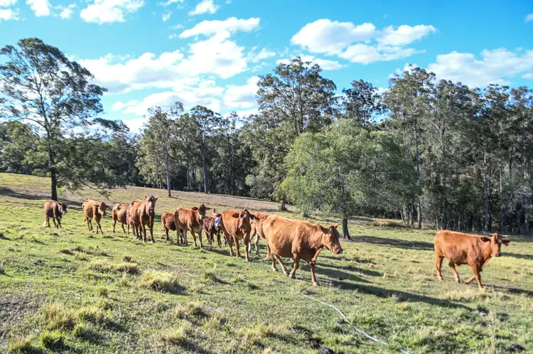 Sixth view of Homely house listing, Address available on request