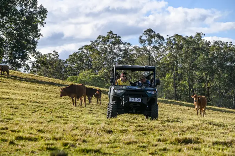 Seventh view of Homely house listing, Address available on request