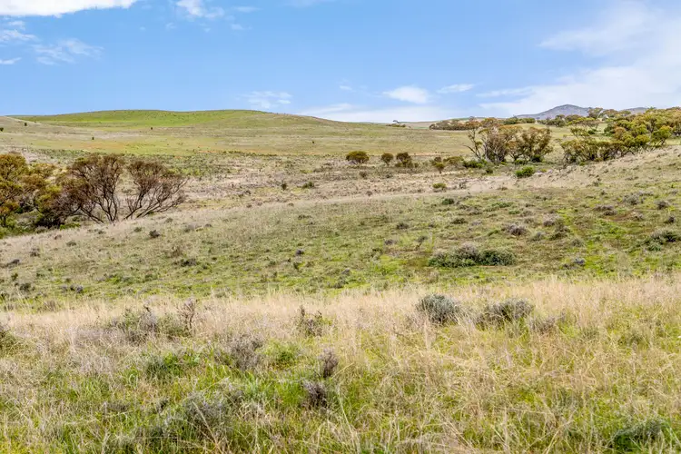 Main view of Homely rural property listing, 'Ted's' Arthur Road, Orroroo SA 5431