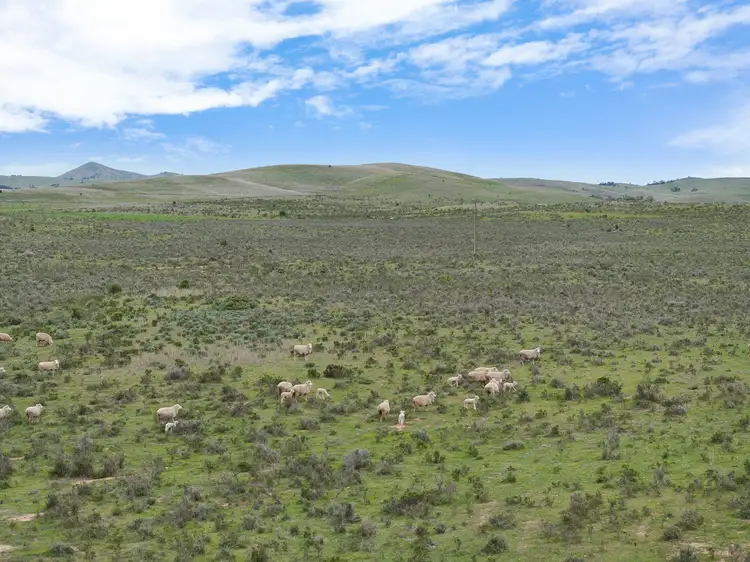 Second view of Homely rural property listing, 'Ted's' Arthur Road, Orroroo SA 5431