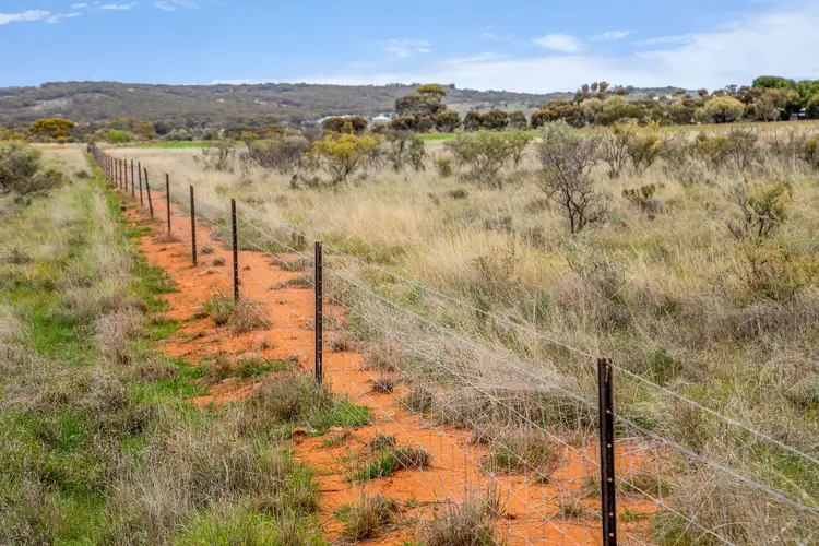 Fifth view of Homely rural property listing, 'Ted's' Arthur Road, Orroroo SA 5431