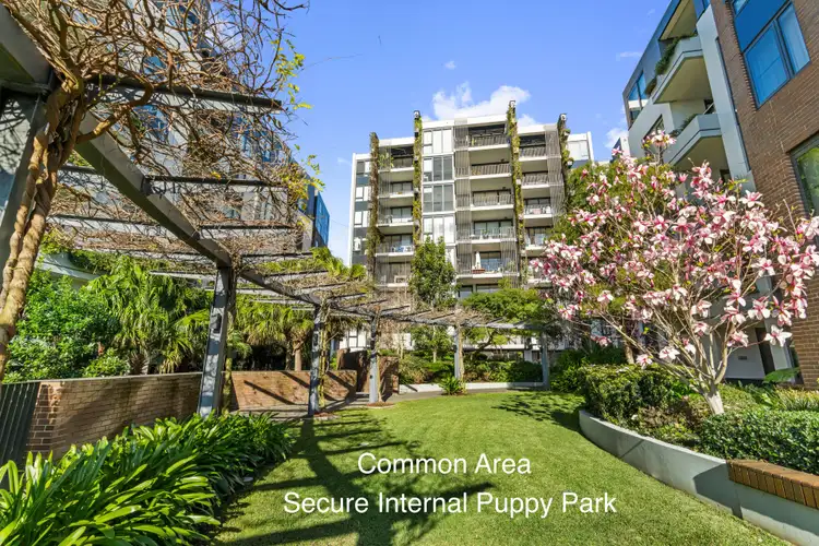 Sixth view of Homely apartment listing, 112/172 Ross Street, Forest Lodge NSW 2037