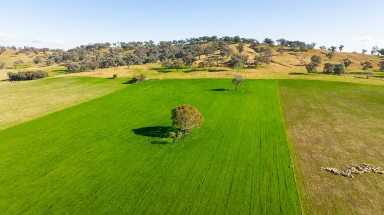 Fifth view of Homely rural property listing, Part Granite Hill, Jindera NSW 2642