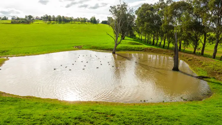 Sixth view of Homely rural property listing, Part Granite Hill, Jindera NSW 2642