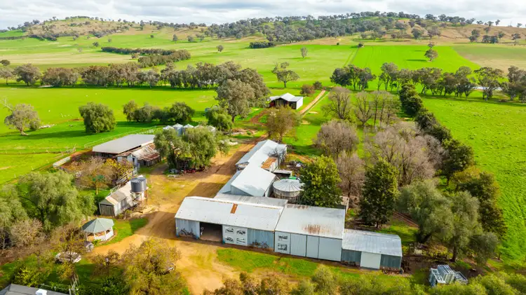 Seventh view of Homely rural property listing, Part Granite Hill, Jindera NSW 2642
