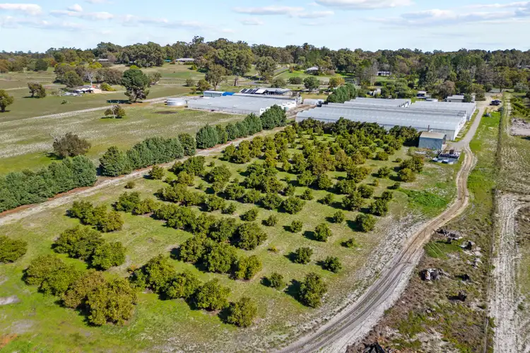 Fifth view of Homely house listing, 190 Amarillo Drive, Karnup WA 6176