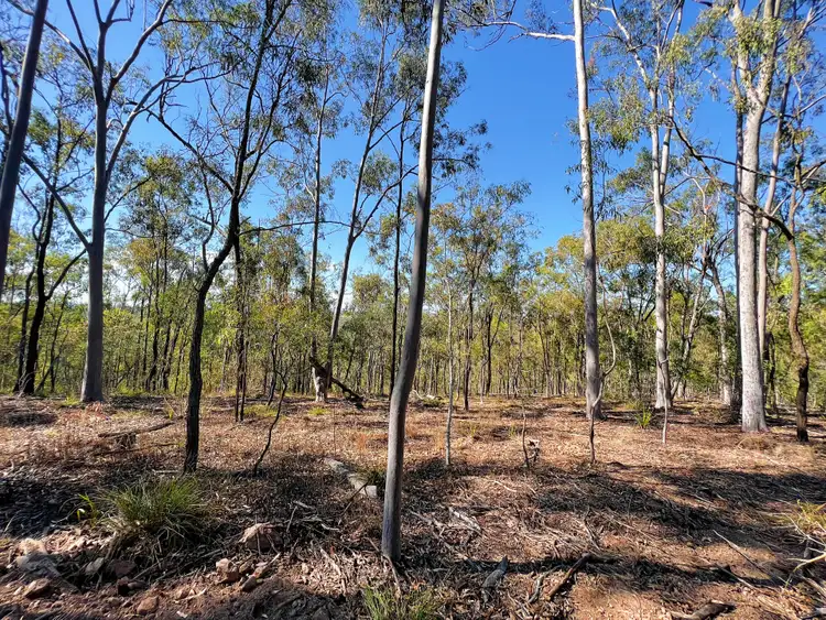 Sixth view of Homely land listing, LOT 28 Nielsons Road, Good Night QLD 4671