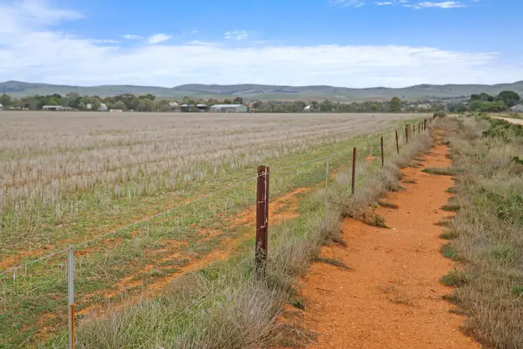 Third view of Homely rural property listing, 'Cambalee' Minburra Road, Orroroo SA 5431