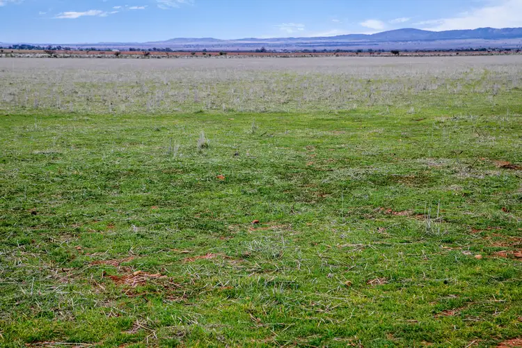 Fifth view of Homely rural property listing, 'Cambalee' Minburra Road, Orroroo SA 5431