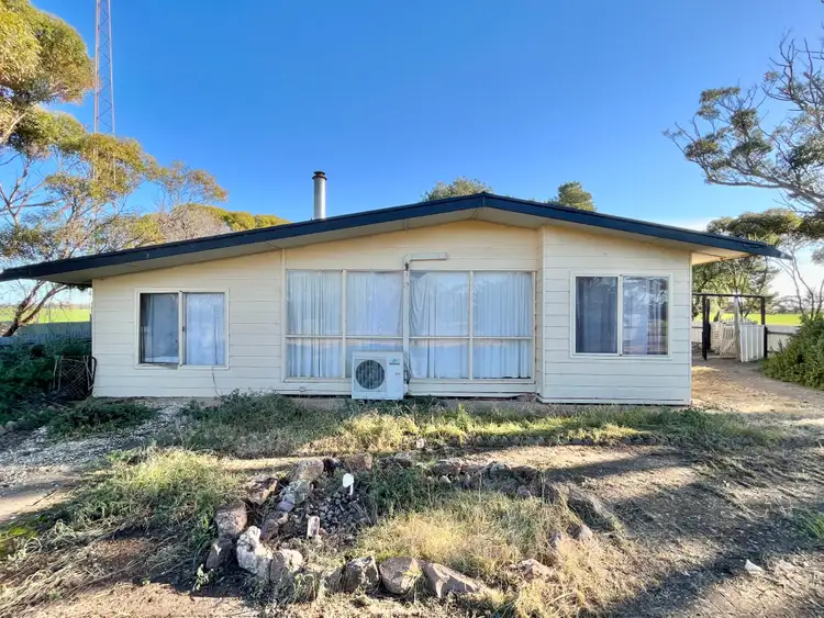 Main view of Homely house listing, 2913 Bute Road, Bute SA 5560