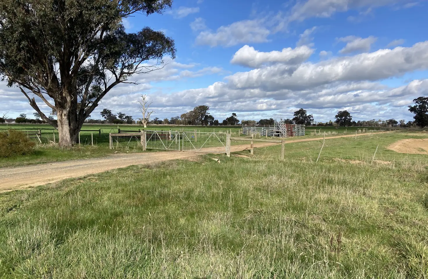 Main view of Homely rural property listing, 565 Kiota Road, Dhurringile VIC 3610