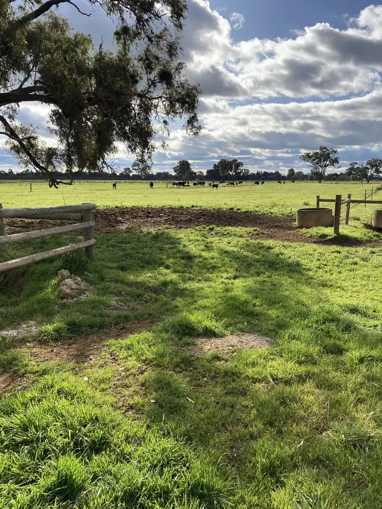 Seventh view of Homely rural property listing, 565 Kiota Road, Dhurringile VIC 3610