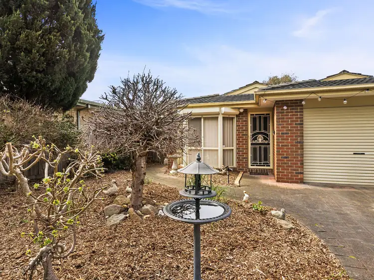 Main view of Homely house listing, 143 Fifth Avenue, Rosebud VIC 3939