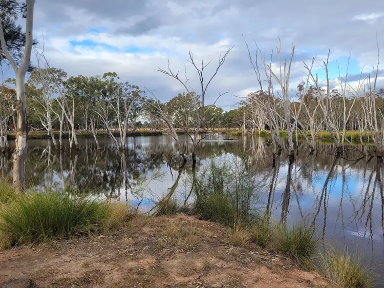 0 Bonnie Doon Road, Leyburn QLD 4365