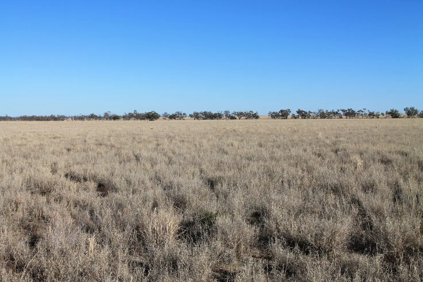 Main view of Homely rural property listing, 2930 Luguna Road, Augathella QLD 4477