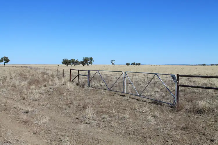 Third view of Homely rural property listing, 2930 Luguna Road, Augathella QLD 4477