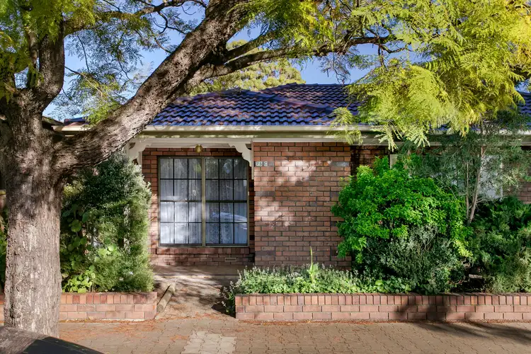 3/75 Marion Street, Unley SA 5061