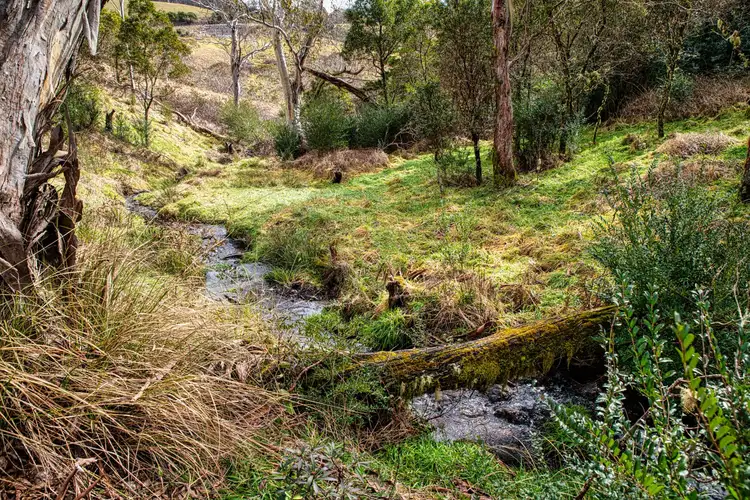 Third view of Homely rural property listing, 6424 Waterfall Way, Deer Vale, Dorrigo NSW 2453