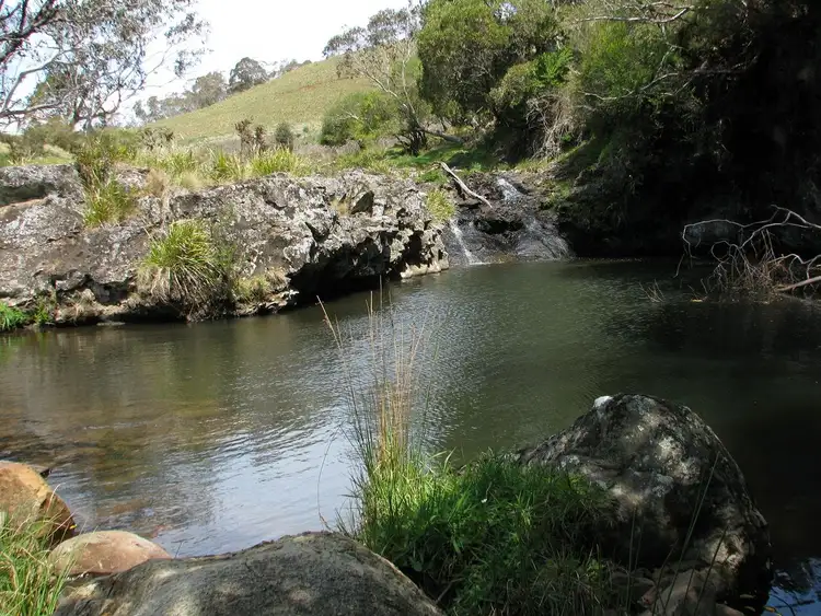 Fourth view of Homely rural property listing, 6424 Waterfall Way, Deer Vale, Dorrigo NSW 2453