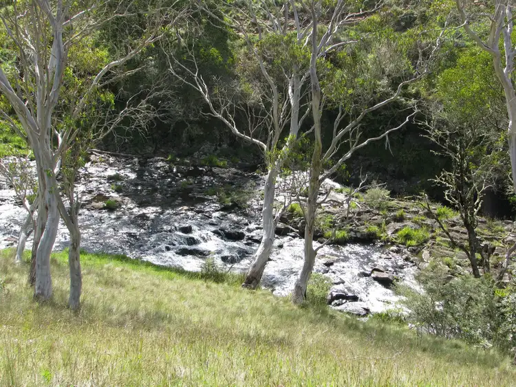 Fifth view of Homely rural property listing, 6424 Waterfall Way, Deer Vale, Dorrigo NSW 2453