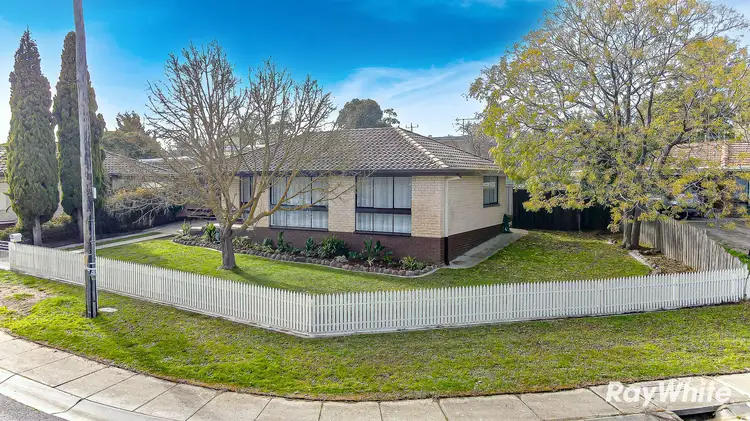 Third view of Homely house listing, 11 Palm Avenue, Spring Gully VIC 3550