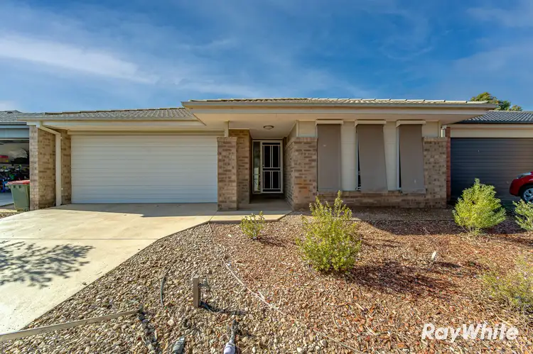 Main view of Homely house listing, 20 Pamela Avenue, Jackass Flat VIC 3556