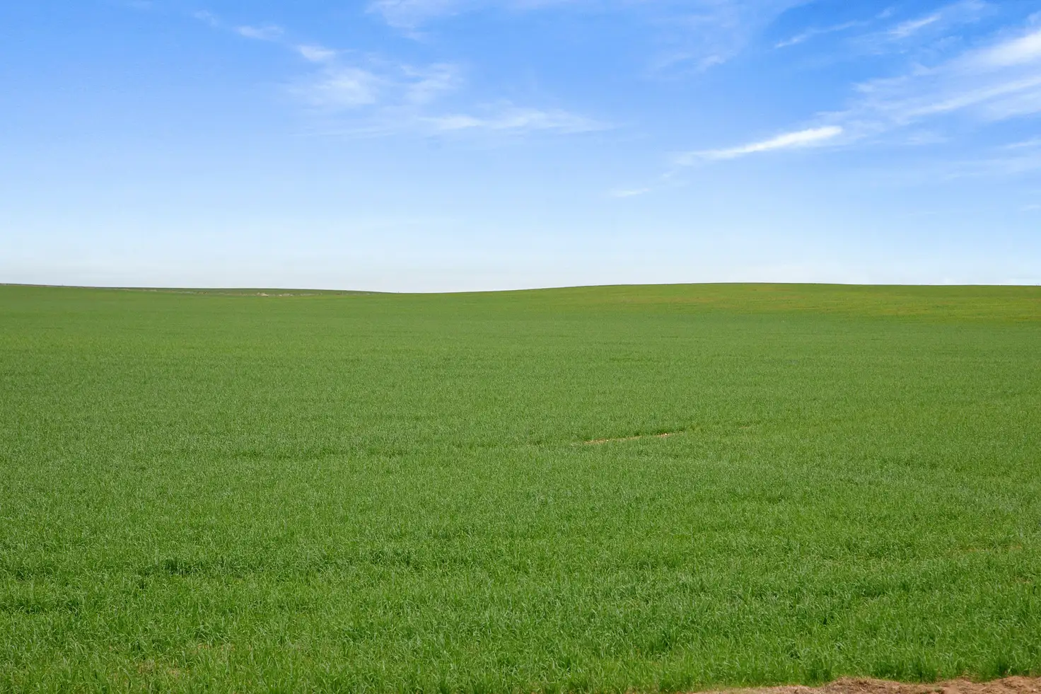 Main view of Homely rural property listing, 'Alford Farm' Hewetts Road, Alford SA 5555