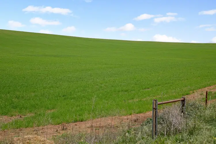 Second view of Homely rural property listing, 'Alford Farm' Hewetts Road, Alford SA 5555