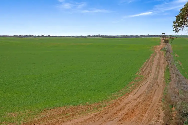 Fourth view of Homely rural property listing, 'Alford Farm' Hewetts Road, Alford SA 5555