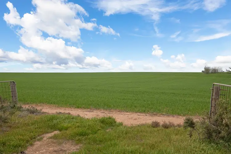 Fifth view of Homely rural property listing, 'Alford Farm' Hewetts Road, Alford SA 5555