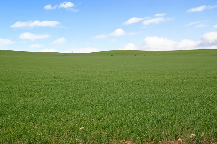 Sixth view of Homely rural property listing, 'Alford Farm' Hewetts Road, Alford SA 5555