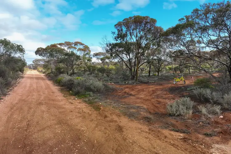Lot 593 Fundak Road, Monash SA 5342
