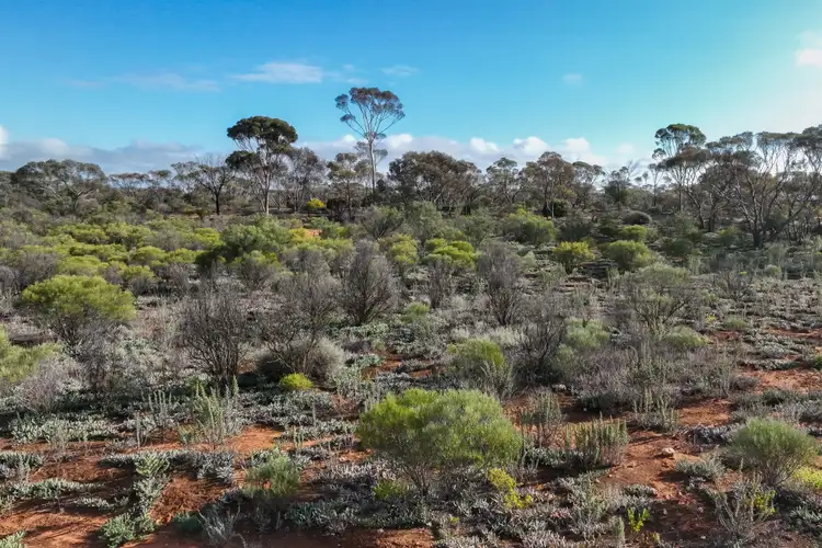 Third view of Homely land listing, Lot 593 Fundak Road, Monash SA 5342