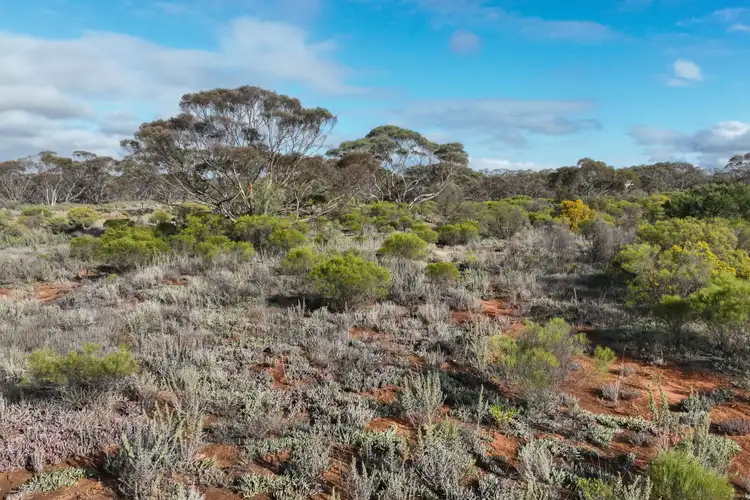 Fourth view of Homely land listing, Lot 593 Fundak Road, Monash SA 5342