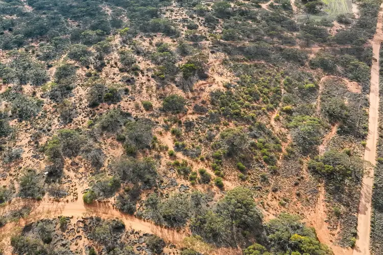 Fifth view of Homely land listing, Lot 593 Fundak Road, Monash SA 5342