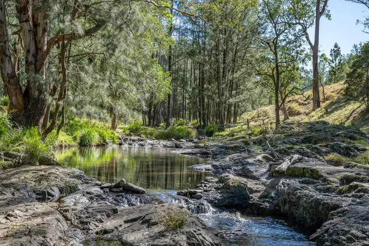 Main view of Homely rural property listing, 1333 Bowman River Road, Gloucester NSW 2422