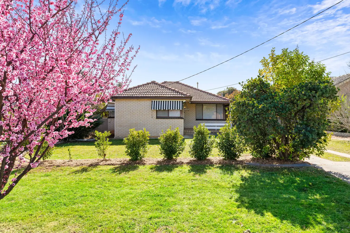 Main view of Homely house listing, 21 Huthwaite Street, Mount Austin NSW 2650
