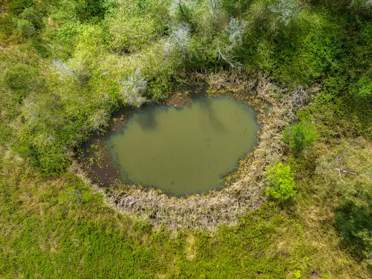 Sixth view of Homely rural property listing, Lot/640 Bulmers Road, Hogarth Range NSW 2469