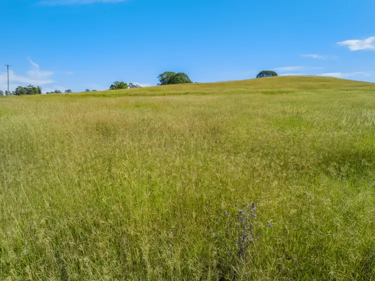 Seventh view of Homely rural property listing, Lot 472 McDonalds Bridge Road, Stratheden NSW 2470