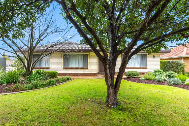 16 Jennifer Terrace, Parafield Gardens SA 5107