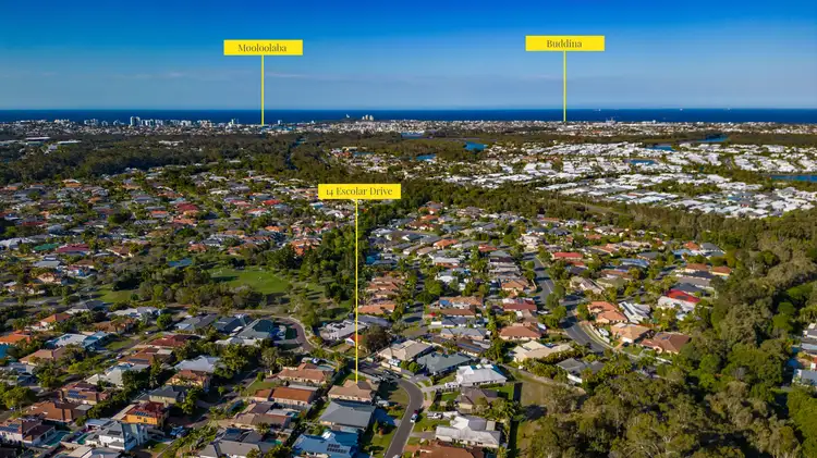 Main view of Homely house listing, 14 Escolar Drive, Mountain Creek QLD 4557