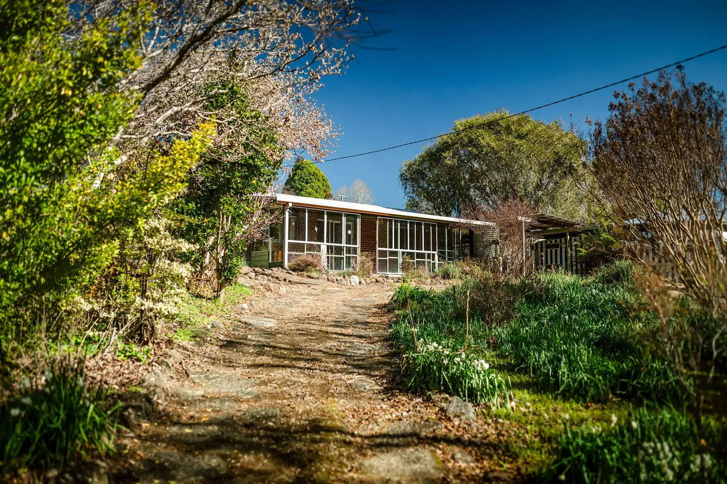 Main view of Homely house listing, 5 Bean Street, Dorrigo NSW 2453